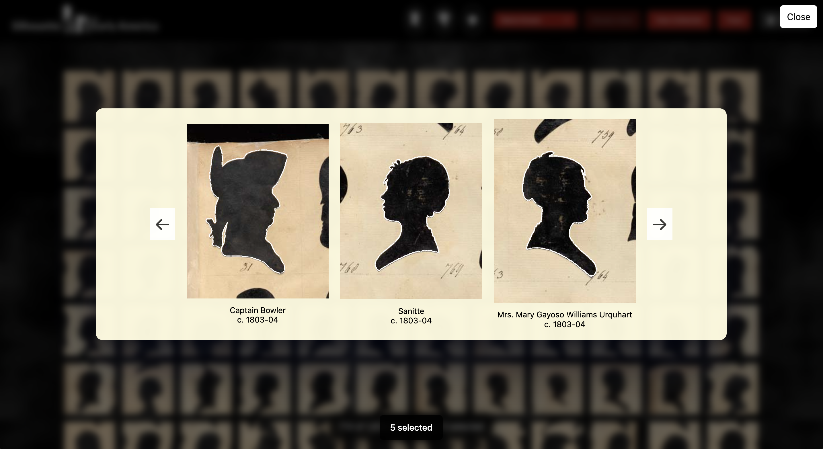 Collection Browser