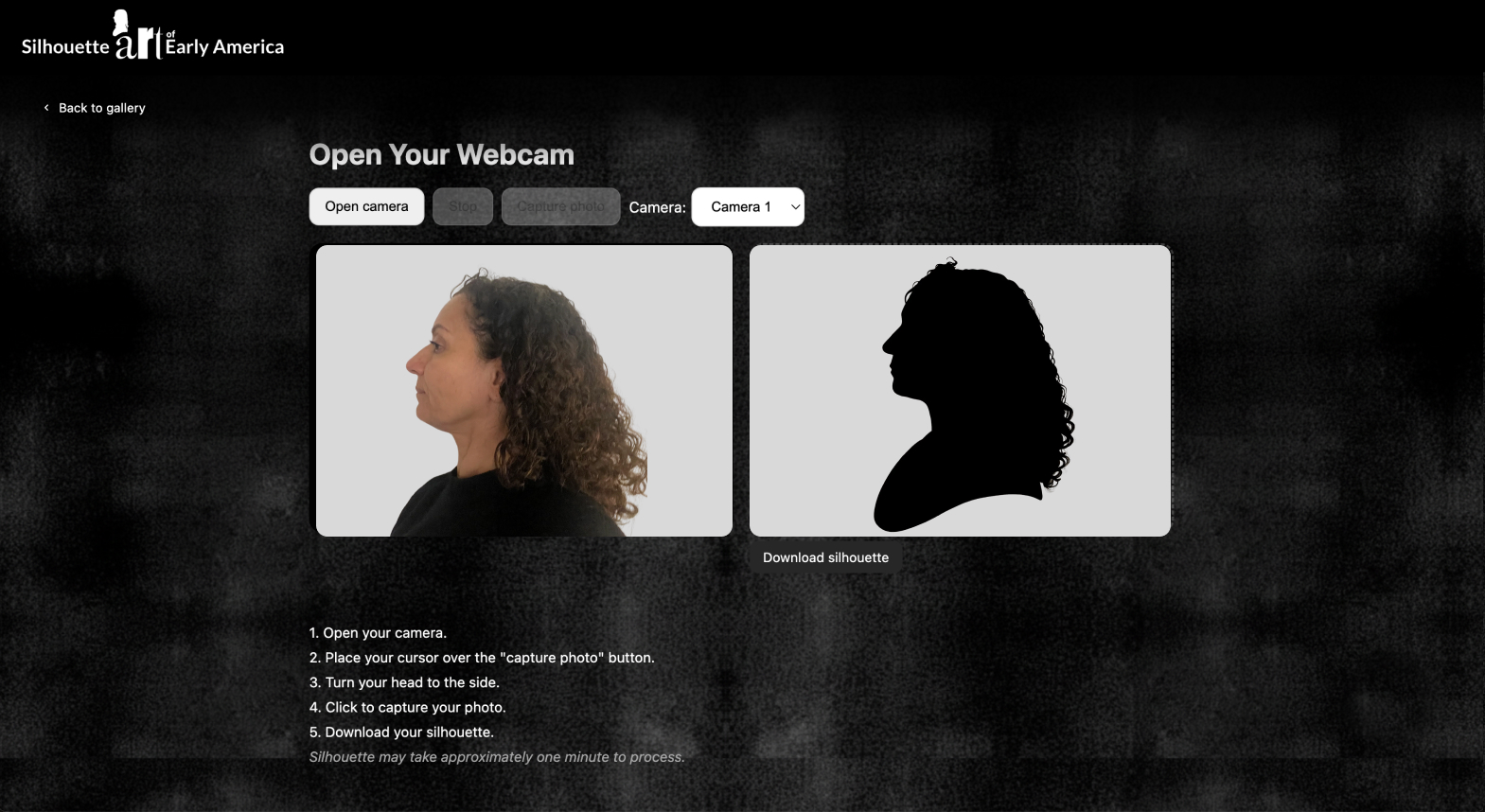 Webcam Silhouette